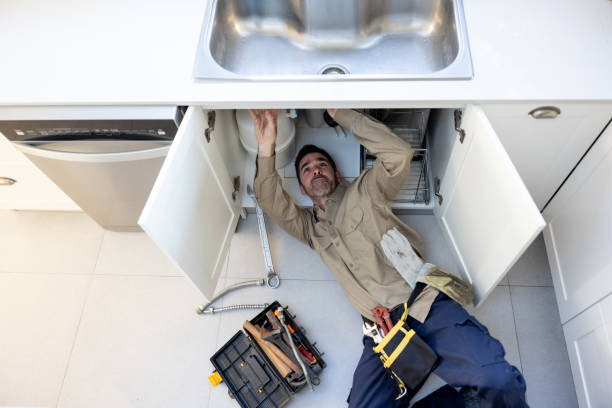 Best Clogged Drain Plumber  in Centuria, WI